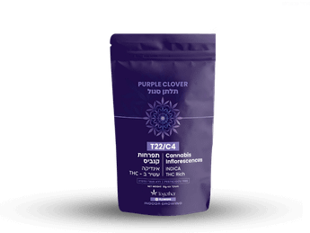 תפרחת פרפל קלובר - T22/C4 - Purple Clover