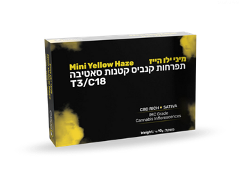 תפרחת ילו הייז מיני - T3/C18 - Yellow Haze Mini