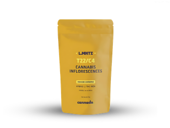 תפרחת ל.מנטז  - T22/C4 - L.MNTZ