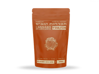 תפרחת אסטרו מינטו  - T22/C4 - Astro Minto
