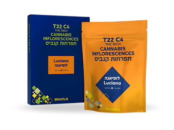 תפרחת לוסיאנה - T22/C4 - Luciana