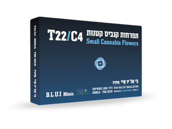 תפרחת בי.אל.יו.איי מיניז  - T22/C4 - B.L.U.I Miniz