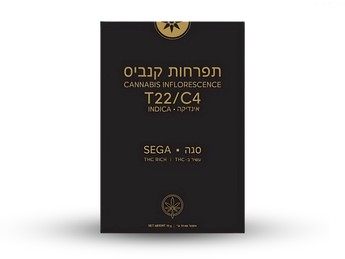 תפרחת סגה - T22/C4 - Sega