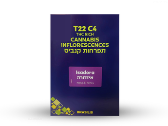 תפרחת איזדורה - T22/C4 - Isadora