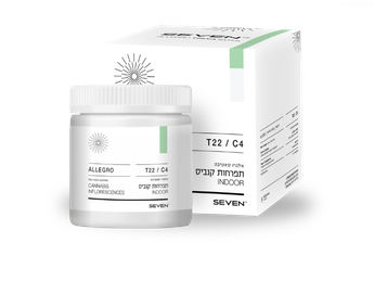 תפרחת אלגרו - T22/C4 - Allegro