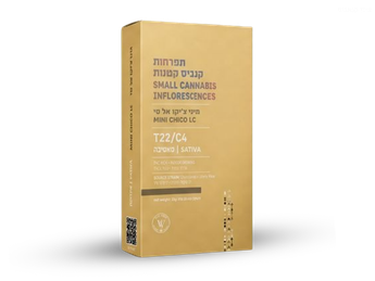 תפרחת אל סי צ'יקו מיני - T22/C4 - LC Chico Mini
