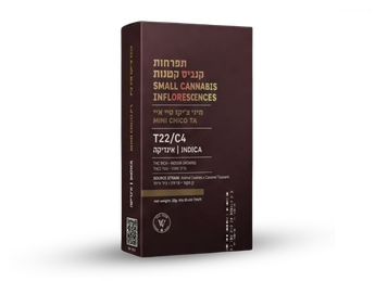 תפרחת טי איי צ'יקו מיני  - T22/C4 - TA Chico Mini