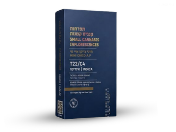 תפרחת איי פי צ'יקו מיני - T22/C4 - AP Chico Mini