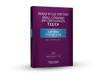 תפרחת אס.בי אף מיניז - T22/C4 - S.BF Miniz