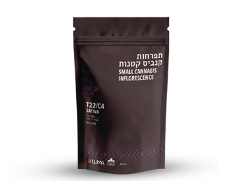 תפרחת וולגה - T22/C4 - Volga