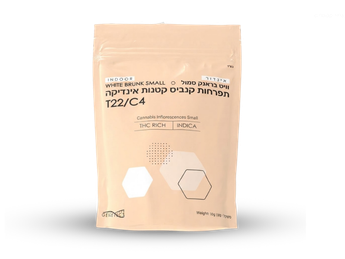 תפרחת וויט בראנק סמול - T22/C4 - White Brunk Small