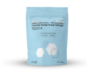 תפרחת פרפל צ'אנג סמול - T22/C4 - Purple Chung Small