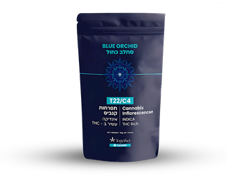 תפרחת בלו אורכיד - T22/C4 - Blue Orchid