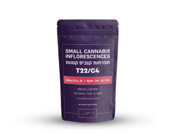 תפרחת סי.אל.אקס - T22/C4 - C.L.X