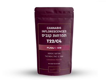 תפרחת פוגו - T22/C4 - Fugu