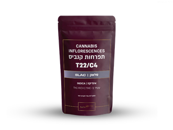תפרחת סלאק - T22/C4 - Slac