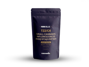 תפרחת אר.אס.סי מיני - T22/C4 - R.S.C Mini