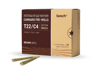 גליליות בראון - T22/C4 - Brown