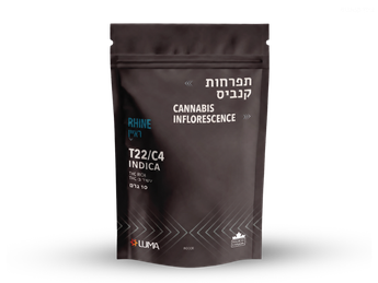תפרחת ראיין - T22/C4 - Rhine