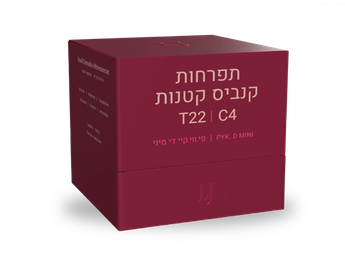תפרחת פי.ווי.קי די מיני - T22/C4 - PYK D Mini