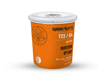 פחית בי.יו.סי גאסקט - T22/C4 - B.U.C Gasket