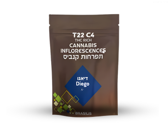 תפרחת דייגו - T22/C4 - Diego