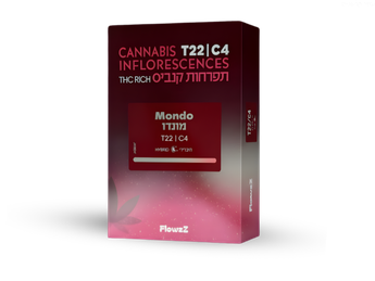 תפרחת מונדו - T22/C4 - Mondo