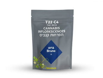 תפרחת ברונו - T22/C4 - Bruno