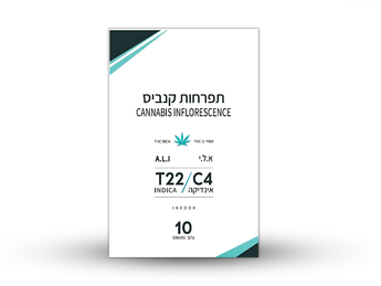 תפרחת א.ל.י - T22/C4 - A.L.i