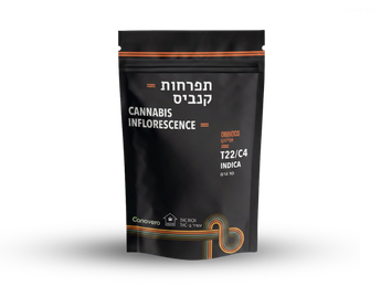 תפרחת אורינוקו - T22/C4 - Orinoco