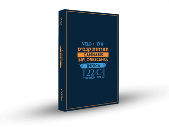 תפרחת וולו - T22/C4 - Velo