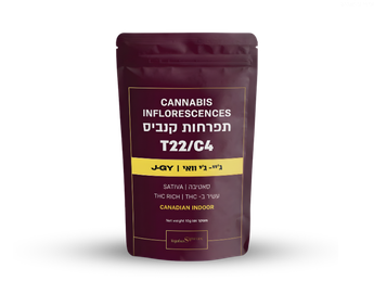 תפרחת ג'יי-ג'י.וואי - T22/C4 - J-GY