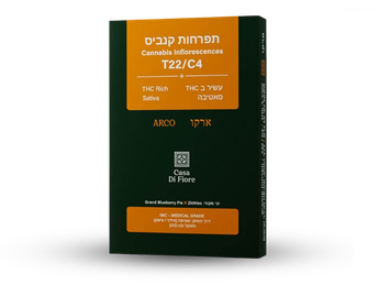 תפרחת ארקו - T22/C4 - Arco