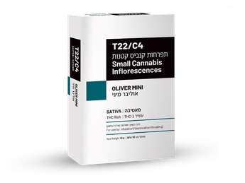 תפרחת אוליבר מיני - T22/C4 - Oliver Mini