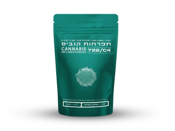 תפרחת אסטרו לאשיז - T22/C4 - ASTRO LUSHIZ