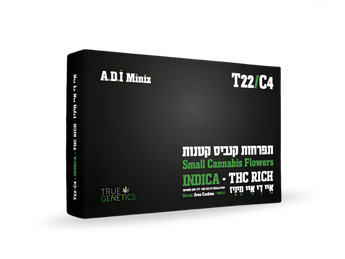 תפרחת איי.די.איי - T22/C4 - ADI