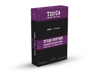 תפרחת פון.אייץ' - T22/C4 - Pun.H