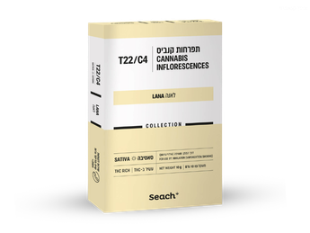 תפרחת לאנה - T22/C4 - Lana