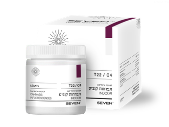 תפרחת לגאטו  - T22/C4 - Legato