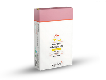 תפרחת זיו - T15/C3 - Ziv