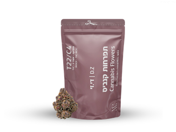 תפרחת די.זי - T22/C4 - D.Z