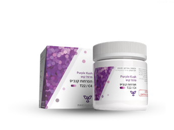 תפרחת פרפל קוש - T22/C4 - Purple Kush