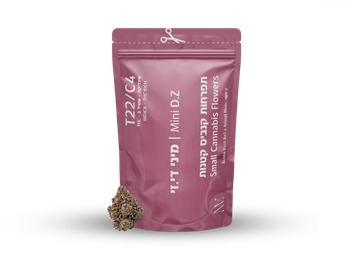 תפרחת די.זי מיני - T22/C4 - D.Z Mini