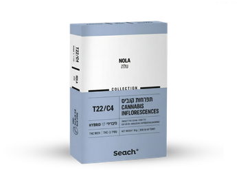 תפרחת נולה - T22/C4 - Nola