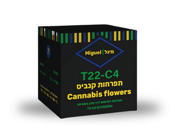 תפרחת מיגל - T22/C4 - Miguel