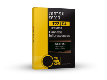 תפרחת ג'ונו - T22/C4 - Juno