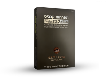 תפרחת ג.ל.ט.י רנטז - T22/C4 - G.L.T.I RNTZ