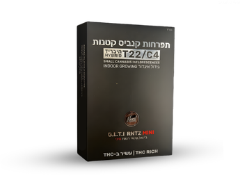 תפרחת ג.ל.ט.י רנטז מיני - T22/C4 - G.L.T.I RNTZ Mini