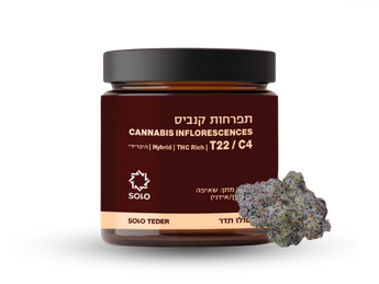 תפרחת סולו תדר - T22/C4 - SOLO Teder