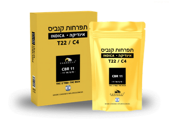 תפרחת סי בי אר 11 - T22/C4 - CBR 11